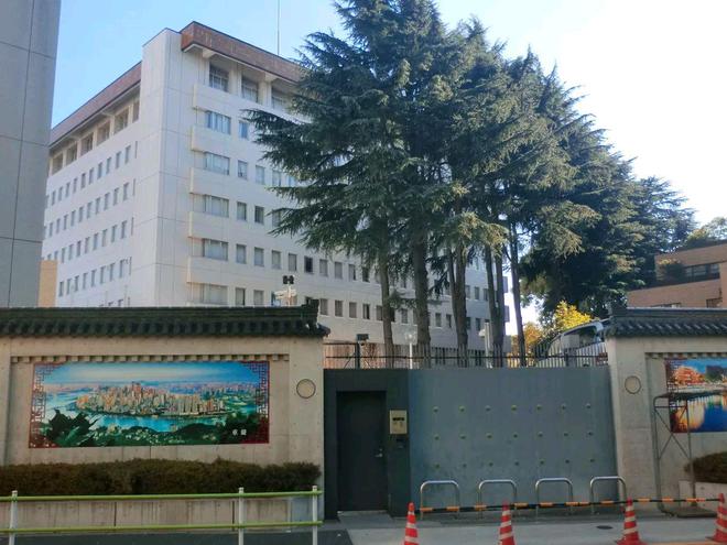 日本核污水排放真假_日本核污水怎么排_日本核污水排放怎么办