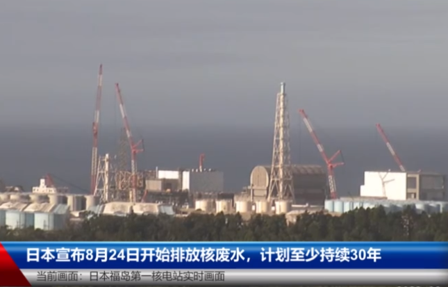 核废水排入大海鱼会变异吗_核污水还可以吃虾吗_日本排放核污水鱼还能吃吗知乎