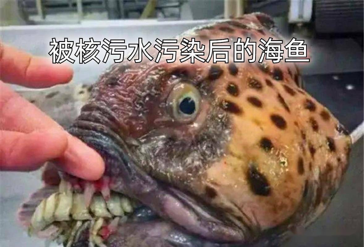核废水排入大海鱼会变异吗_日本排放核污水鱼还能吃吗知乎_核污水能排入海里吗