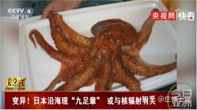 核污水的鱼_日本排放核污水鱼还能吃吗知乎_核污水能排入海里吗
