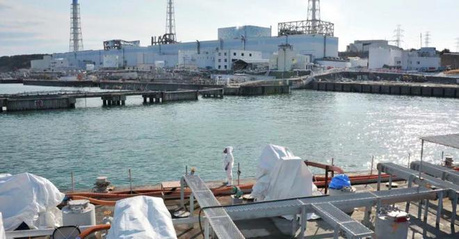 核污水入海_核污水怎么不封海_核污水排入海的危害
